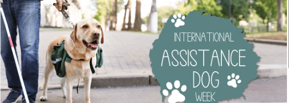 international Assistance dog week